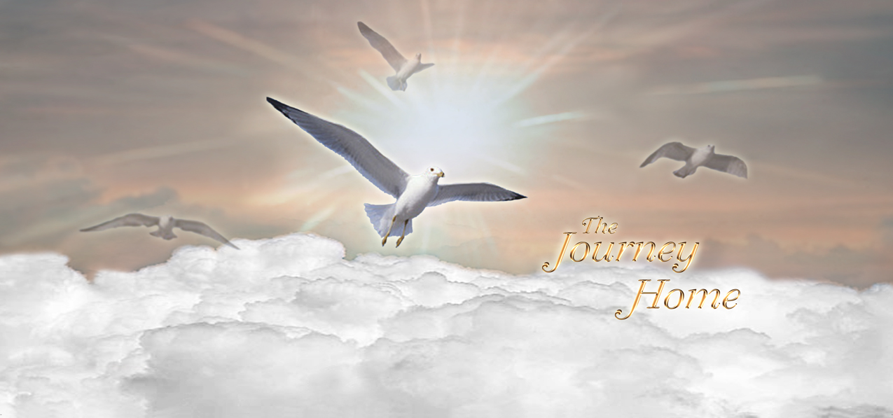 Journey Home Clouds Birds Bronze